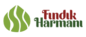 Fındık Harmanı